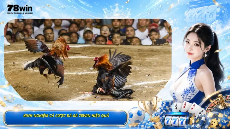 Kinh Nghiệm Cá Cược Đá Gà 78Win Hiệu Quả